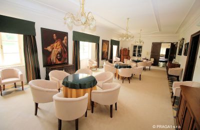 Château à vendre Kraj Vysočina, Grande salle