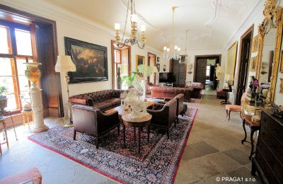 Château à vendre Kraj Vysočina, Grande salle