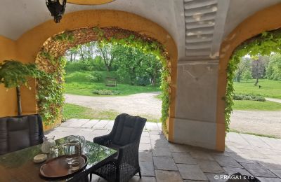 Château à vendre Kraj Vysočina, Arcade