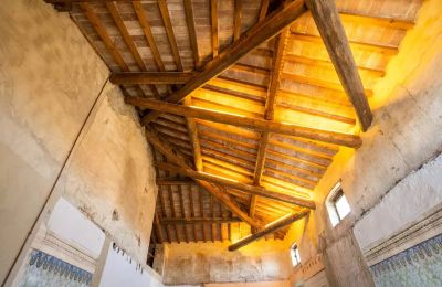 Demeure historique à vendre Zibello, Émilie-Romagne, Plafond
