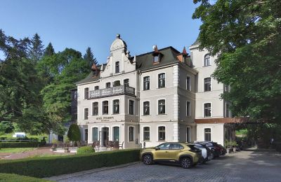 Demeure historique à vendre Duszniki-Zdrój, Wojska Polskiego 10, Basse-Silésie, Vue latérale
