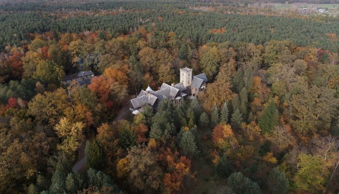 Château à vendre Sośnie, Grande-Pologne,  Pologne