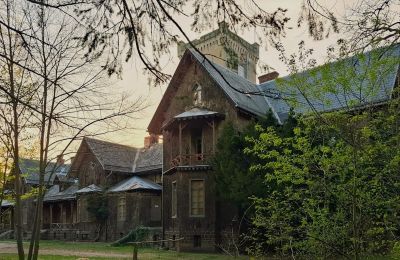 Château à vendre Sośnie, Jana Sztolcmana 1, Grande-Pologne, Image 7/9