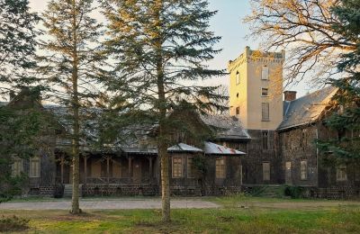 Château à vendre Sośnie, Jana Sztolcmana 1, Grande-Pologne, Image 8/9