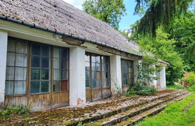 Manoir à vendre Rożnów, Petite-Pologne, Image 21/36