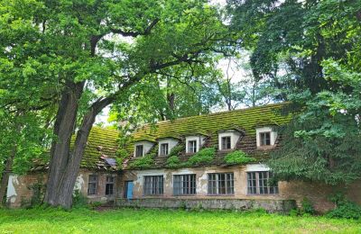 Manoir à vendre Rożnów, Petite-Pologne, Image 17/36