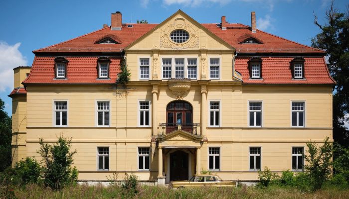 Manoir à vendre Salzlandkreis, Bernburg, Preußlitz,  Allemagne