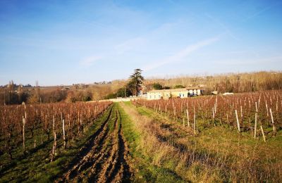 Château à vendre Blaye, Nouvelle-Aquitaine, Image 12/14