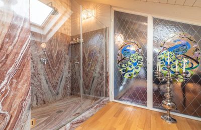 Demeure historique à vendre 28040 Lesa, Piémont, Image 39/42