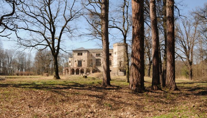 Château médiéval à vendre Zagórzany, Petite-Pologne