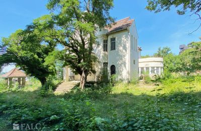 Demeure historique à vendre 99510 Apolda, Lessingstraße 62, Thuringe, Terrain