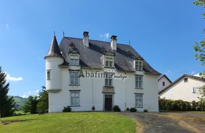 Biens historiques, Château dans les Pyrénées avec vue panoramique