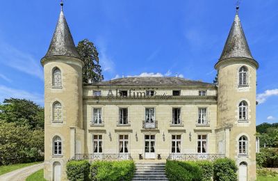 Château à vendre Centre-Val de Loire, Vue frontale