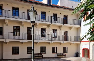 Maison de ville à vendre Litoměřice, Mírové náměstí 12/4, Ústecký kraj, Image 13/16