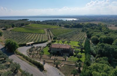 Maison de campagne à vendre 06069 Tuoro sul Trasimeno, Ombrie, Image 2/23