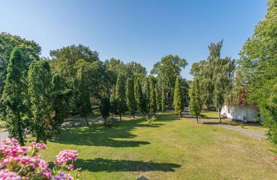 Château à vendre Mgowo, Pałac w Mgowie, Cujavie-Poméranie, Parc