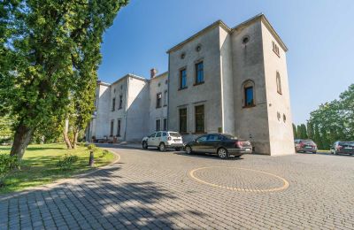 Château à vendre Mgowo, Pałac w Mgowie, Cujavie-Poméranie, Image 13/17