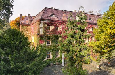 Château à vendre Wojnowice, Pałacowa, Silésie, Vue extérieure