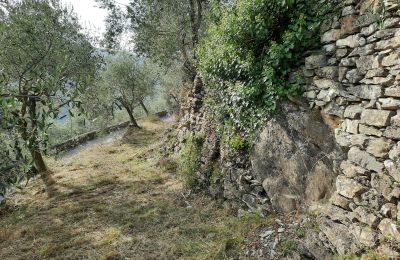 Maison de campagne à vendre Pontedassio, Ligurie, Image 11/25