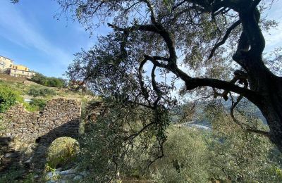 Maison de campagne à vendre Pontedassio, Ligurie, Image 16/25