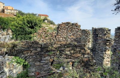 Maison de campagne à vendre Pontedassio, Ligurie, Image 5/25