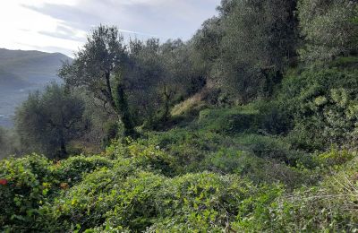 Maison de campagne à vendre Pontedassio, Ligurie, Image 17/25
