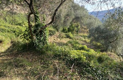 Maison de campagne à vendre Pontedassio, Ligurie, Image 18/25