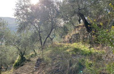 Maison de campagne à vendre Pontedassio, Ligurie, Image 19/25