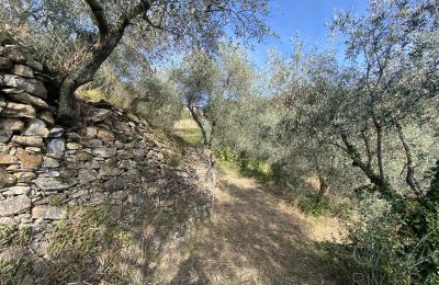 Maison de campagne à vendre Pontedassio, Ligurie, Image 20/25