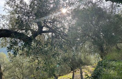 Maison de campagne à vendre Pontedassio, Ligurie, Image 22/25