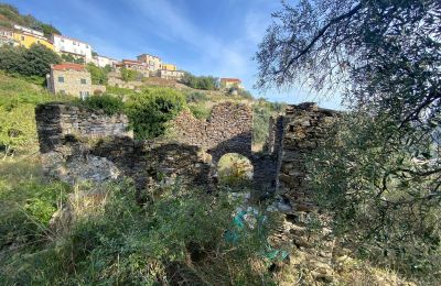 Maison de campagne à vendre Pontedassio, Ligurie, Image 7/25