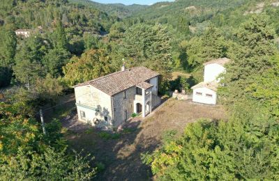 Propriété historique à vendre 06014 Montone, Ombrie, Image 5/35