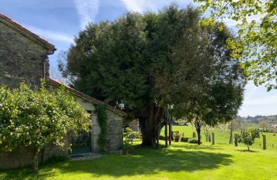 Maison de campagne à vendre Melide, Cabazás, Galice, Terraza y jardín