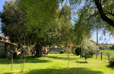 Maison de campagne à vendre Melide, Cabazás, Galice, Jardin
