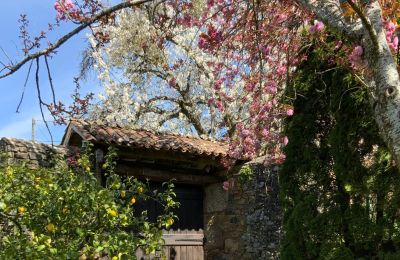 Maison de campagne à vendre Melide, Cabazás, Galice, Entrée des calèches