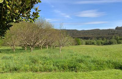 Maison de campagne à vendre Moeche, Sta Cruz de Moeche, Galice, Terrain