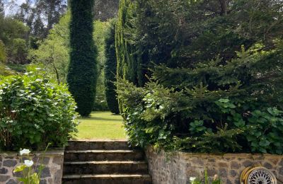 Maison de campagne à vendre Xove, Acevedo, Galice, Jardín