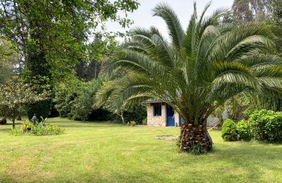 Maison de campagne à vendre Xove, Acevedo, Galice, Jardín