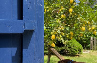Maison de campagne à vendre Xove, Acevedo, Galice, Jardín
