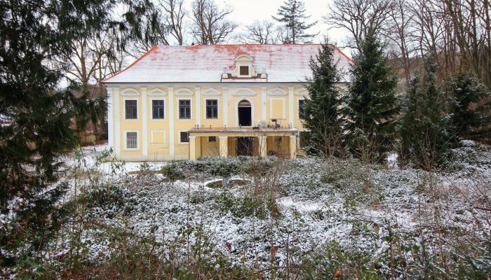 Château à vendre okres Klatovy, Klatovy