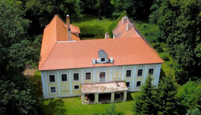 Château à vendre okres Klatovy, Klatovy,  République tchèque