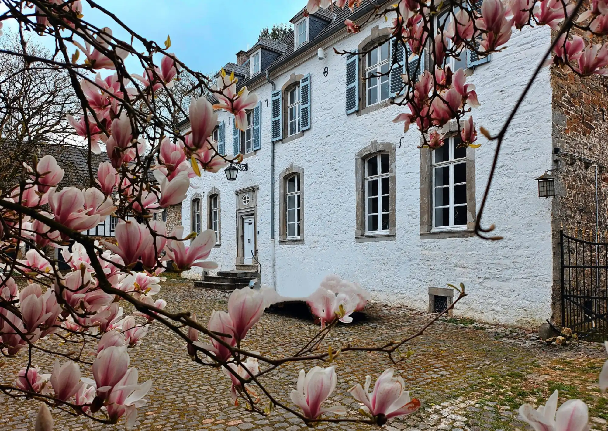 Photos Château en Belgique près de l'Allemagne – Airbnb