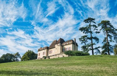Château à vendre Monségur, Nouvelle-Aquitaine, Image 22/22