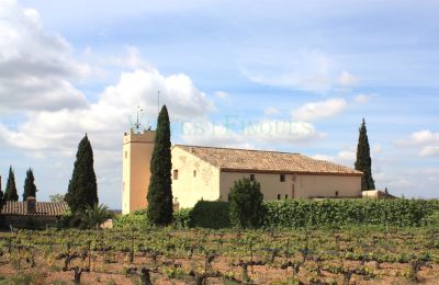 Manoir à vendre Vila-rodona, Catalogne, Image 3/37