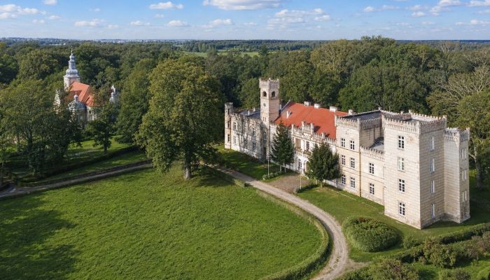 Château à vendre Gościeszyn, Grande-Pologne
