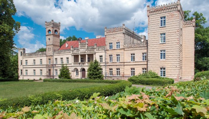 Château à vendre Gościeszyn, Grande-Pologne