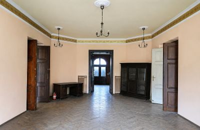 Château à vendre Gościeszyn, Pałac w Gościeszynie, Grande-Pologne, Image 7/15