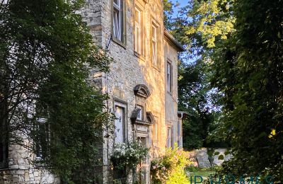 Château médiéval à vendre 06632 Gleina, Saxe-Anhalt, Außenansicht