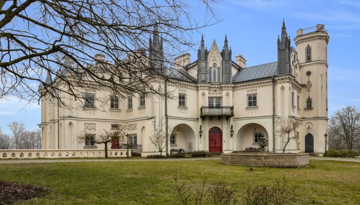 Château à vendre Patrykozy-Kolonia, Mazovie