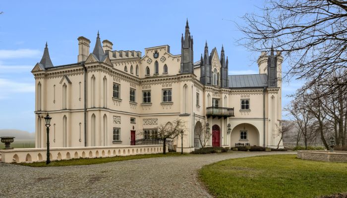 Château à vendre Patrykozy-Kolonia, Mazovie